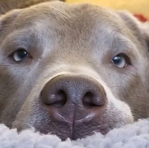 Meet your Posher, Shawn